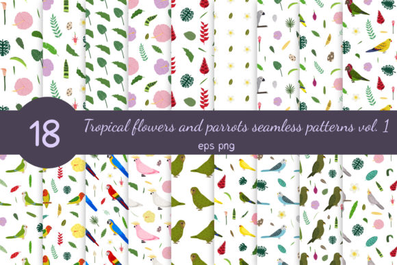 Parrots and Tropical Flowers Patterns